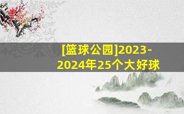 [篮球公园]2023-2024年25个大好球